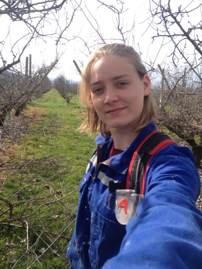 Outfit zum Beschneiden und Versiegeln der Obstbäume ;)