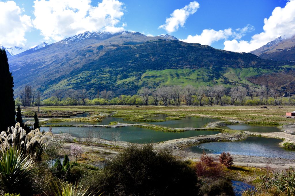 Die wiederhergestellten Feuchtgebiete